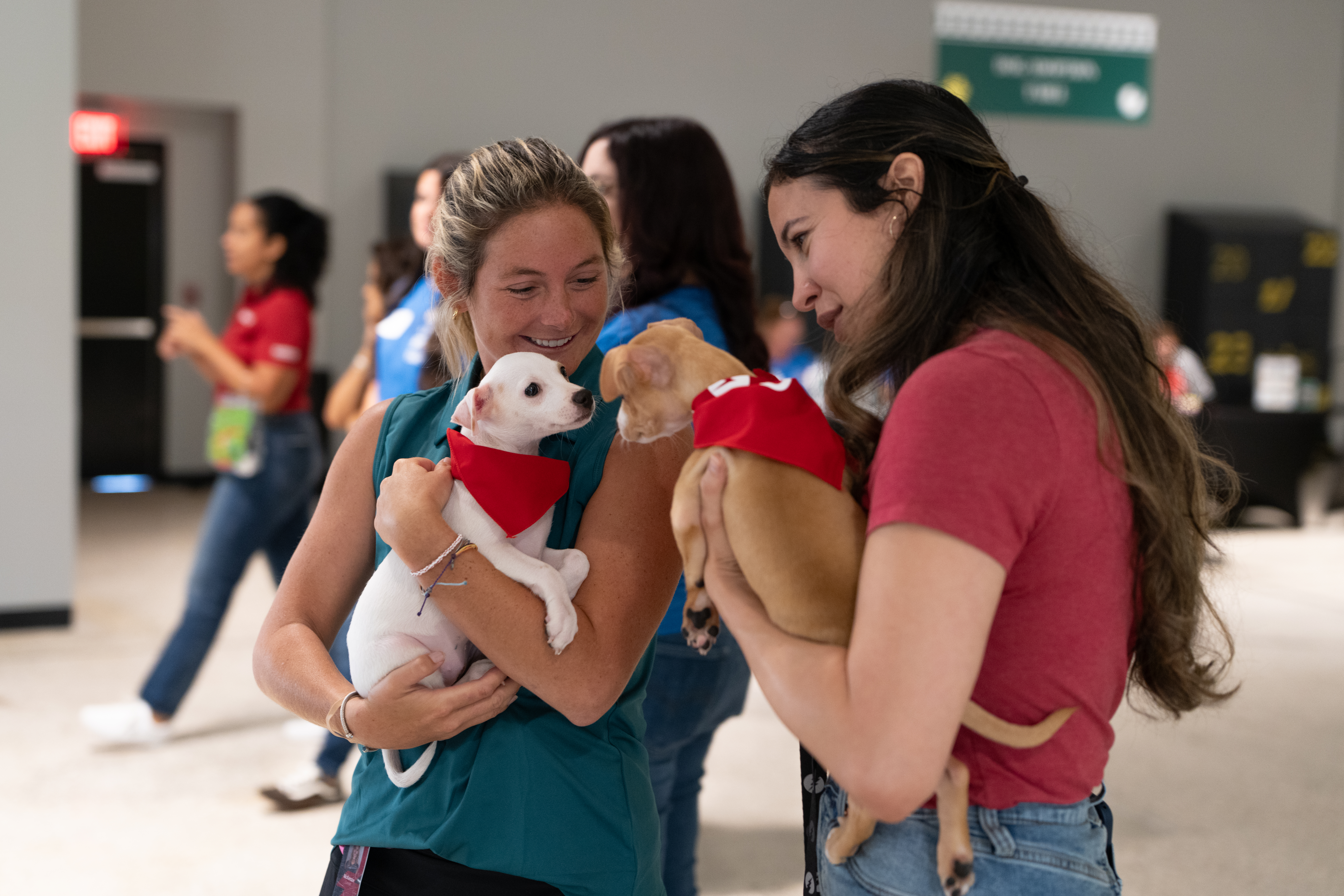 Snuggles, Smiles, and Forever Homes 🐶